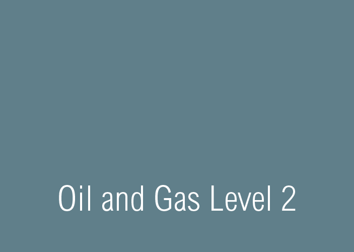 Oil & Gas Level 2